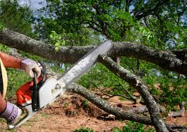 Trusted Weldon, CA Tree Removal and Landscaping Services Experts